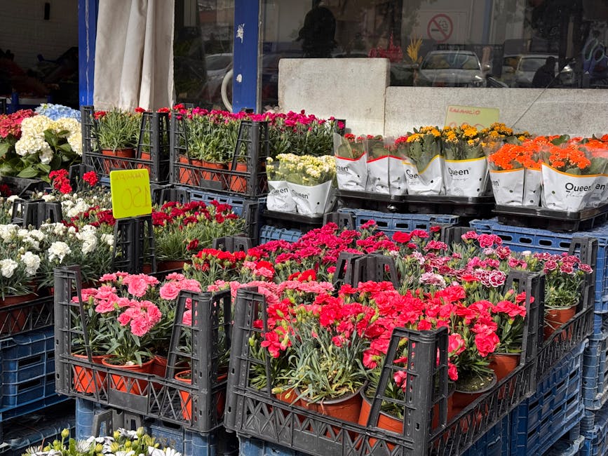 Outdoor display of various potted flowers, including vibrant pink, red, white, yellow, and orange blooms, arranged in black plastic crates and white paper packaging. The flowers exhibit fresh petals w
