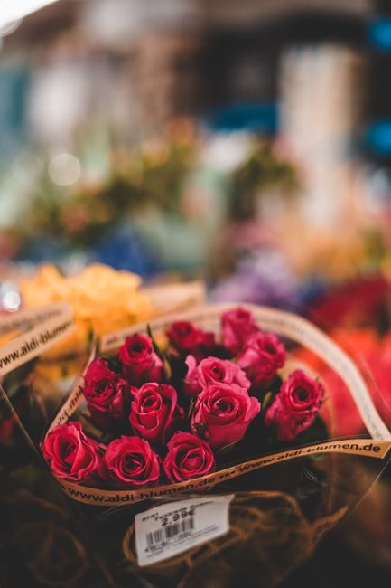 A bouquet of fresh pink roses arranged in a circular formation, wrapped in clear cellophane with a decorative beige ribbon inscribed with the website www.aldi-blumen.de. The roses have vibrant, velvet